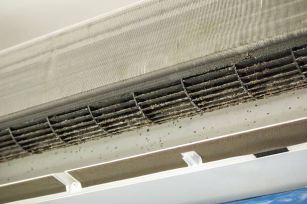 Best HVAC Air Duct Cleaning  in Mount Olive, MS