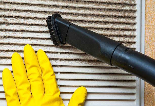 Best Affordable Duct Cleaning Services  in Mount Olive, MS